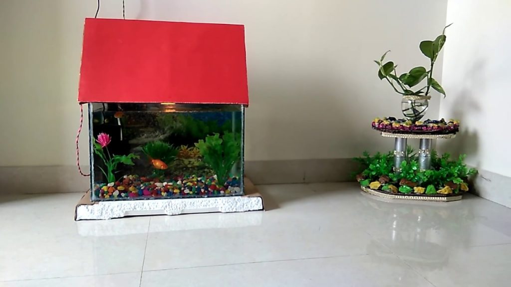 Misconceptions Your Family Has About Aquarium Decoration Stones